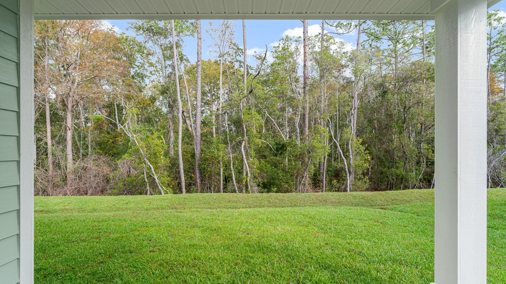 298 Jones Homestead Road Port St. Joe, FL 32456 - Photo 36 of 41 Gallery Image 36