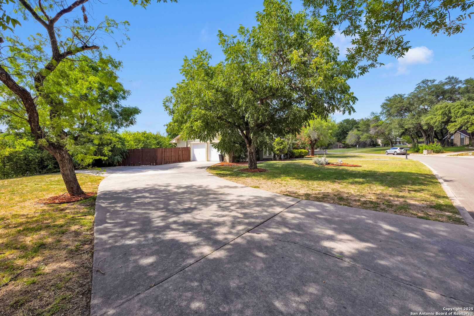103 Shalimar Drive Castle Hills, TX 78213 - Photo 2 of 56 a view of a yard with a tree