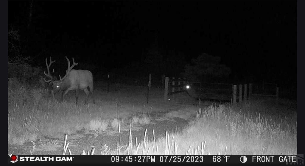 2004 Bear Springs Road Walsenburg, CO 81089 - Photo 7 of 68