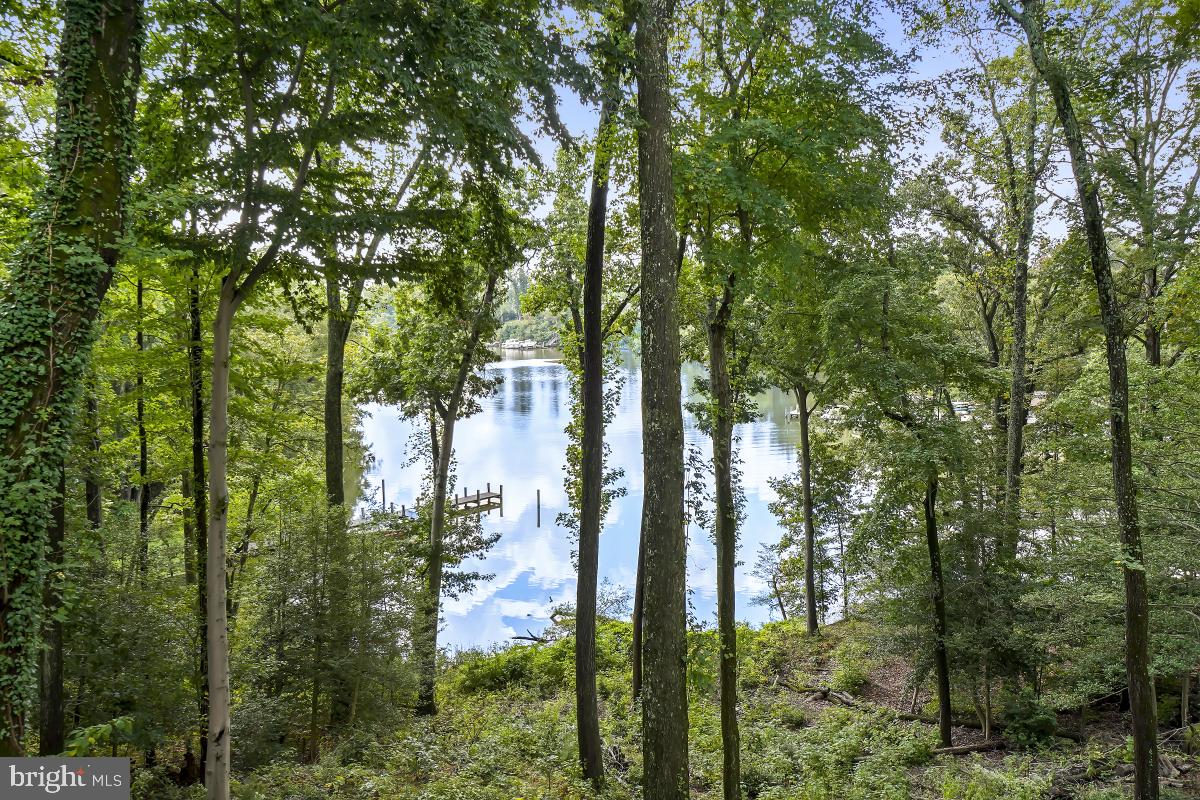 1820 Woods Road Annapolis, MD 21401 - Photo 21 of 51 Gorgeous views.
