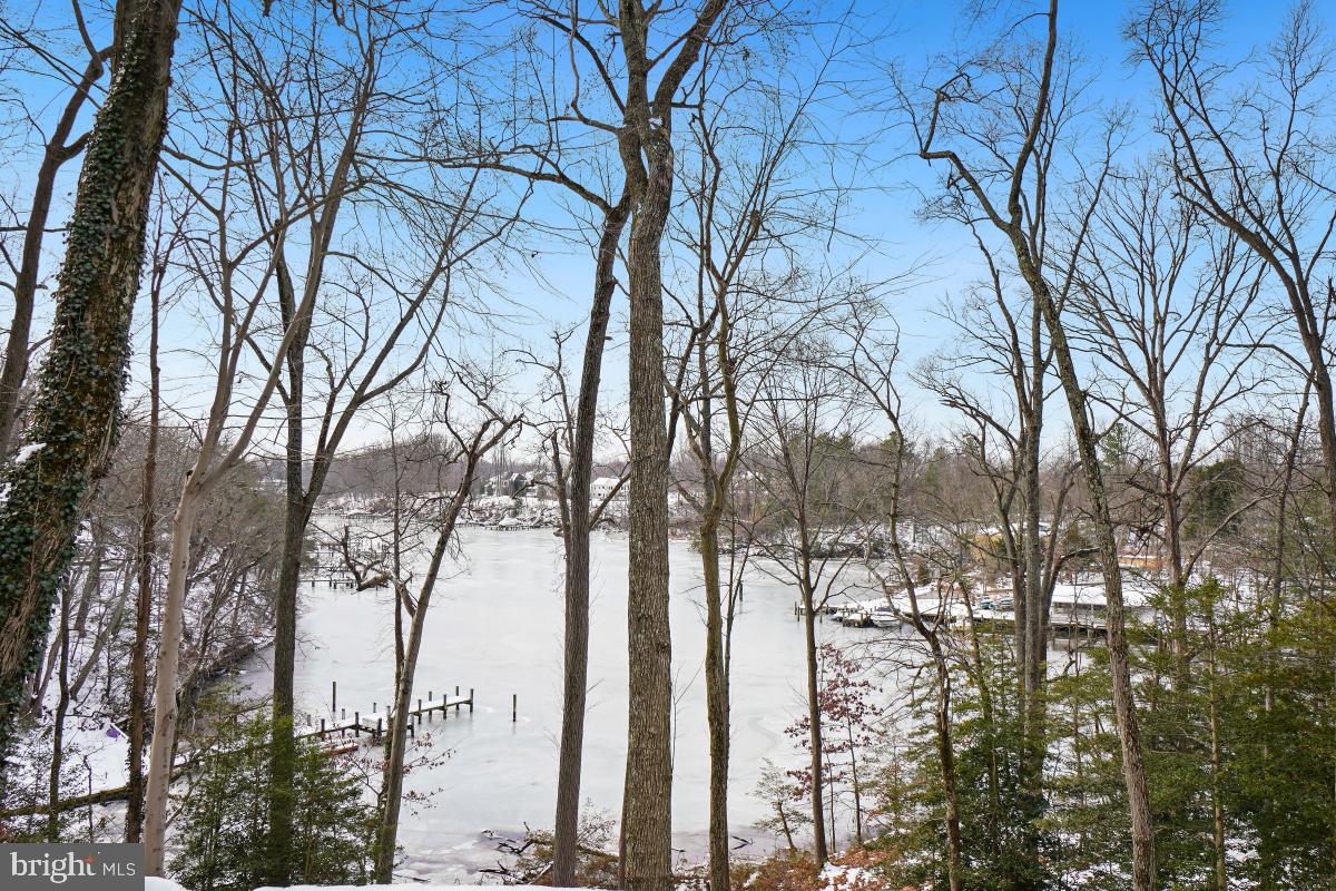 1820 Woods Road Annapolis, MD 21401 - Photo 3 of 51 Wonderful winter water views!