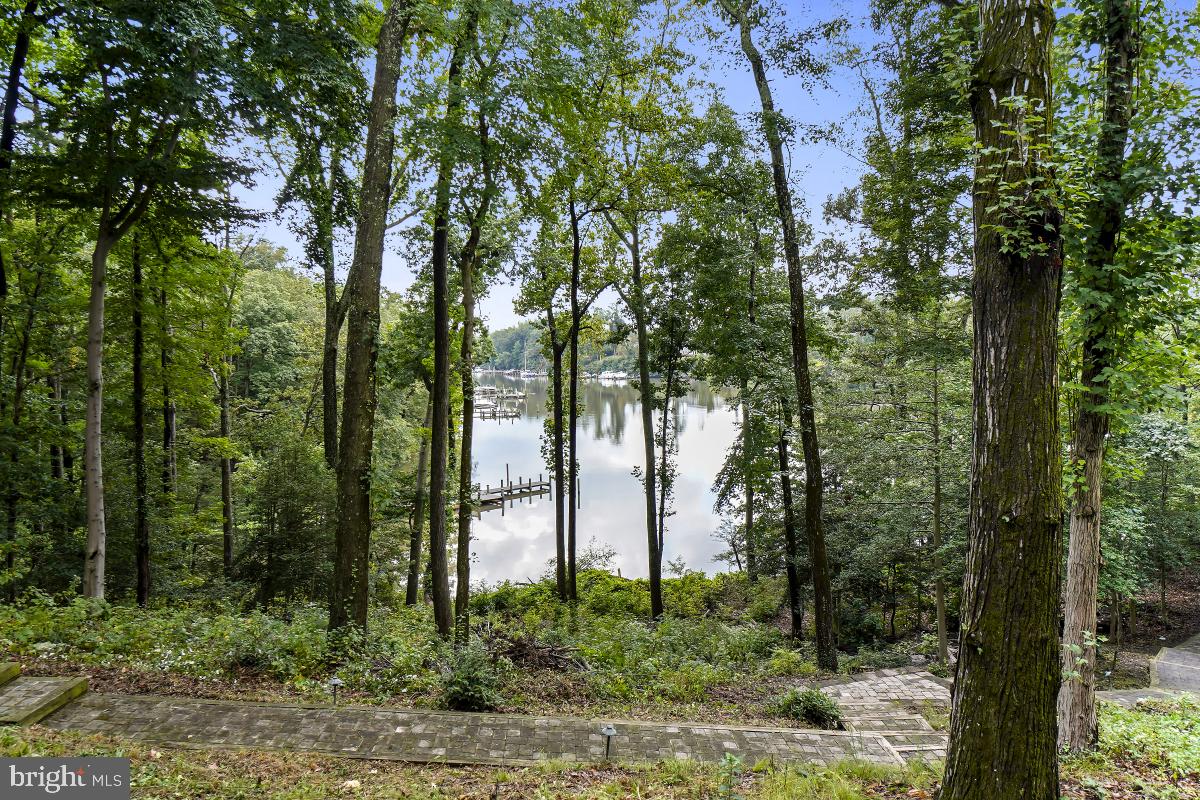 1820 Woods Road Annapolis, MD 21401 - Photo 42 of 51 Gorgeous year round views!