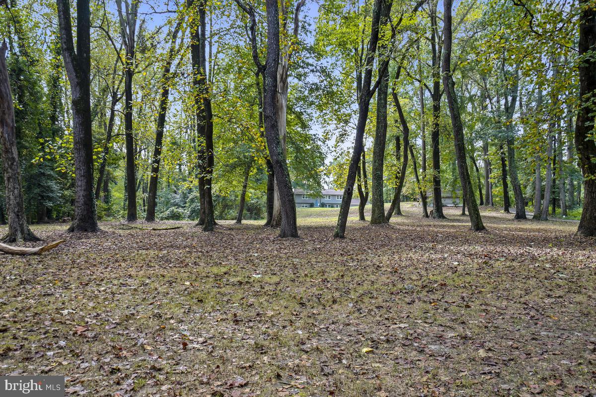 1820 Woods Road Annapolis, MD 21401 - Photo 47 of 51 Nestled in the woods.