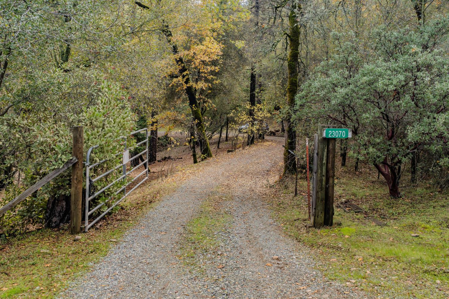 23070 Lawrence Road Fiddletown, CA 95629 - Photo 42 of 61
