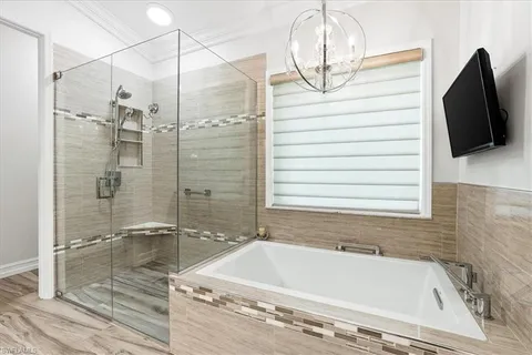 a bathroom with a bathtub and a shower