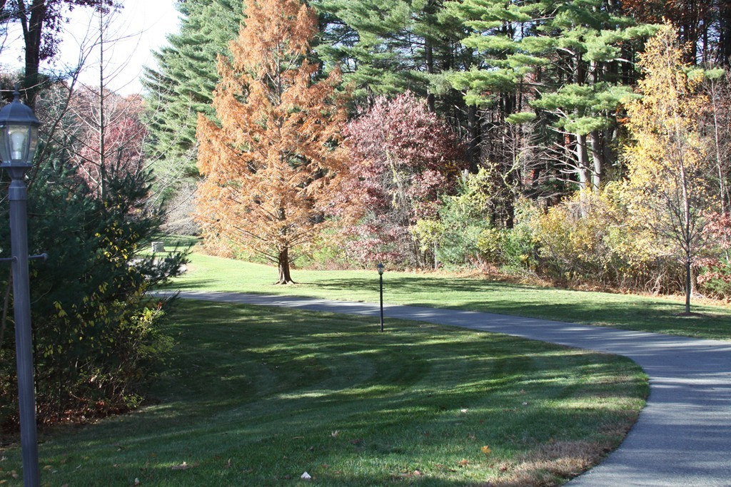 16 Warren Road Dedham, MA 02026 - Photo 3 of 25 Gallery Image 3