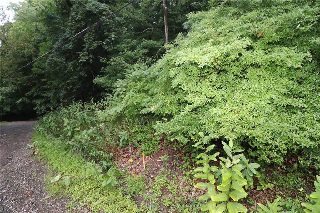 415 Redgate Road Sewickley, PA 15143 - Photo 12 of 25 Lane that borders Lot