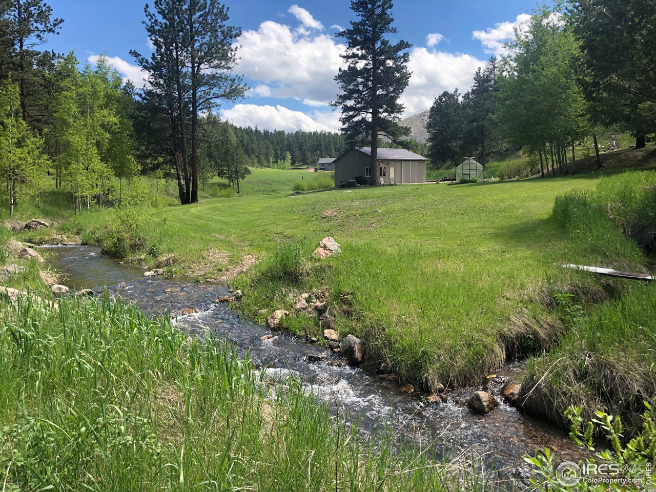 5860 Stove Prairie Road Bellvue, CO 80512 - Photo 36 of 40 Year Round Creek Runs Thru the Meadow