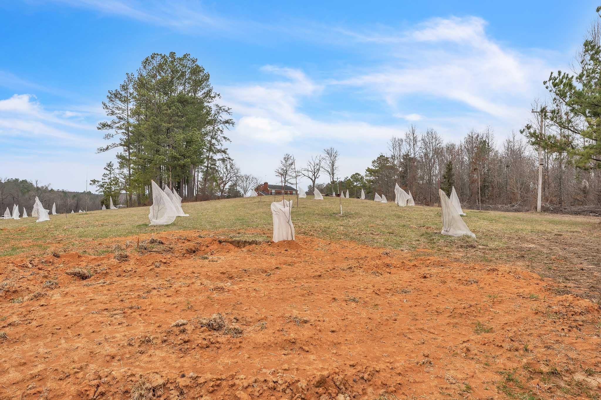 73 Athens Road Calhoun, TN 37309 - Photo 20 of 20