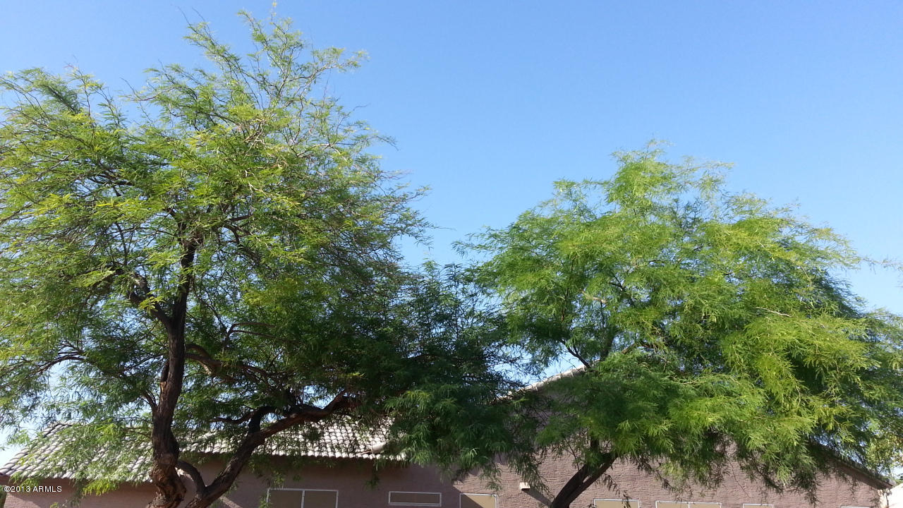 1460 North Racine Lane Gilbert, AZ 85234 - Photo 14 of 65 20130529_074744