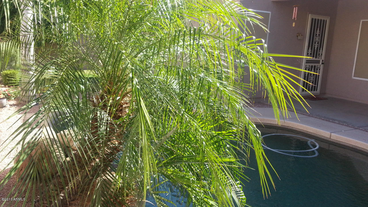 1460 North Racine Lane Gilbert, AZ 85234 - Photo 24 of 65 20130529_081229