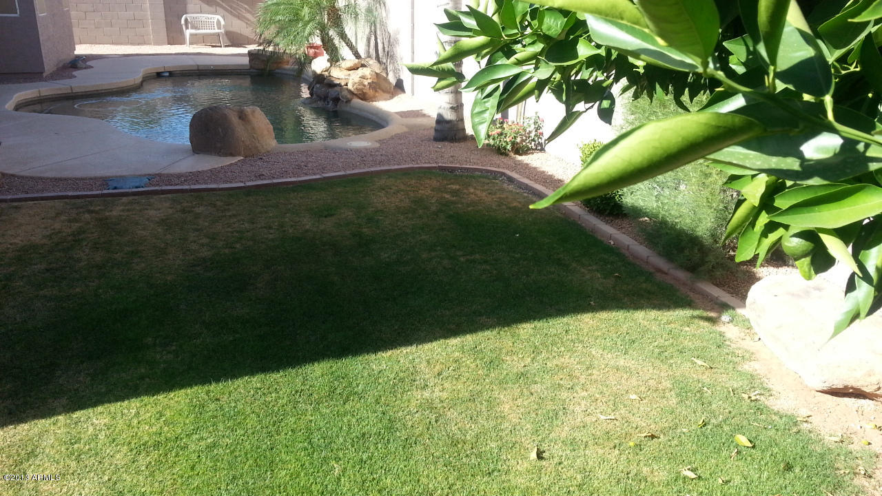 1460 North Racine Lane Gilbert, AZ 85234 - Photo 27 of 65 20130529_081034