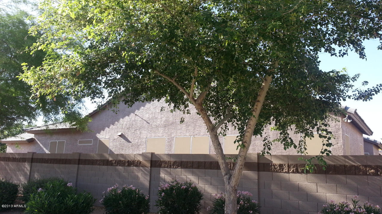 1460 North Racine Lane Gilbert, AZ 85234 - Photo 7 of 65 20130529_074644