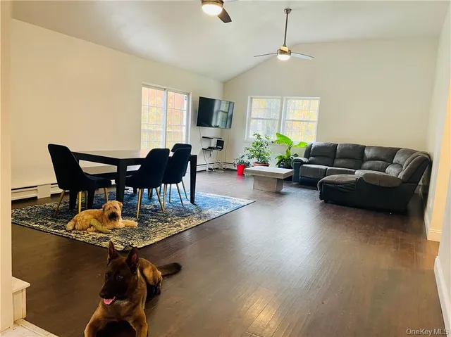 a living room with furniture a dining table and a potted plant