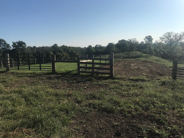 1025 Phillip Sharp Road Butler, KY 41006 - Photo 35 of 35 Gallery Image 35