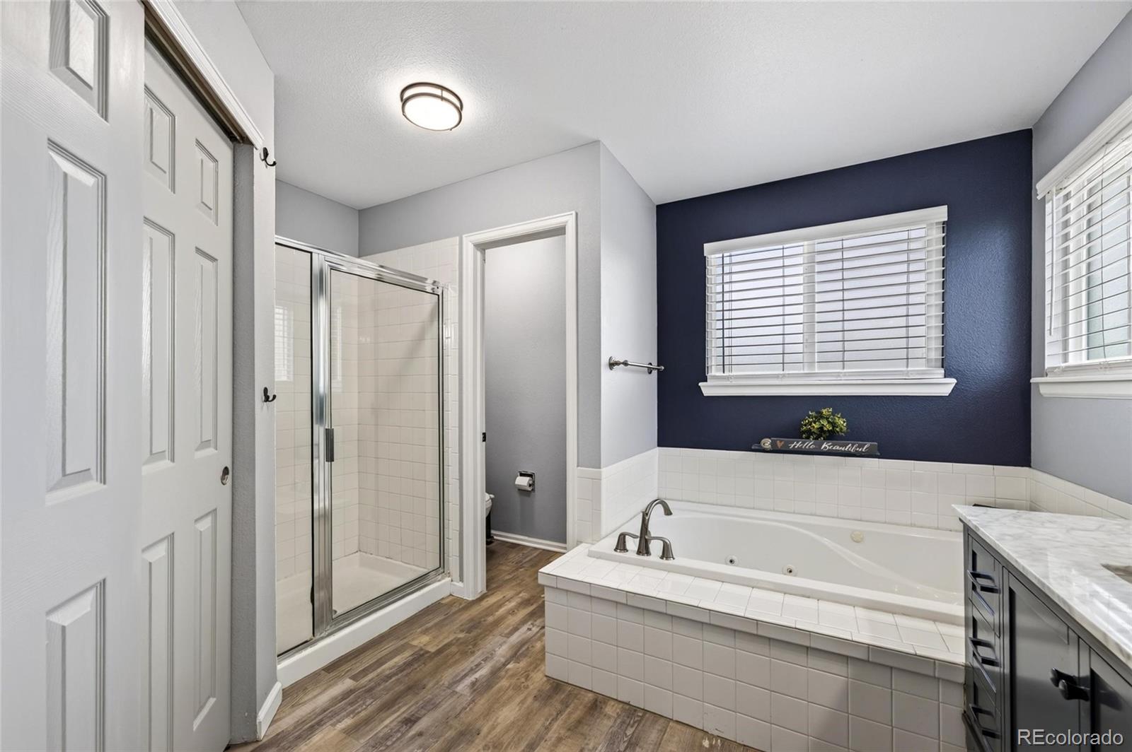 9924 Silver Maple Way Highlands Ranch, CO 80129 - Photo 22 of 44 Gallery Image 22