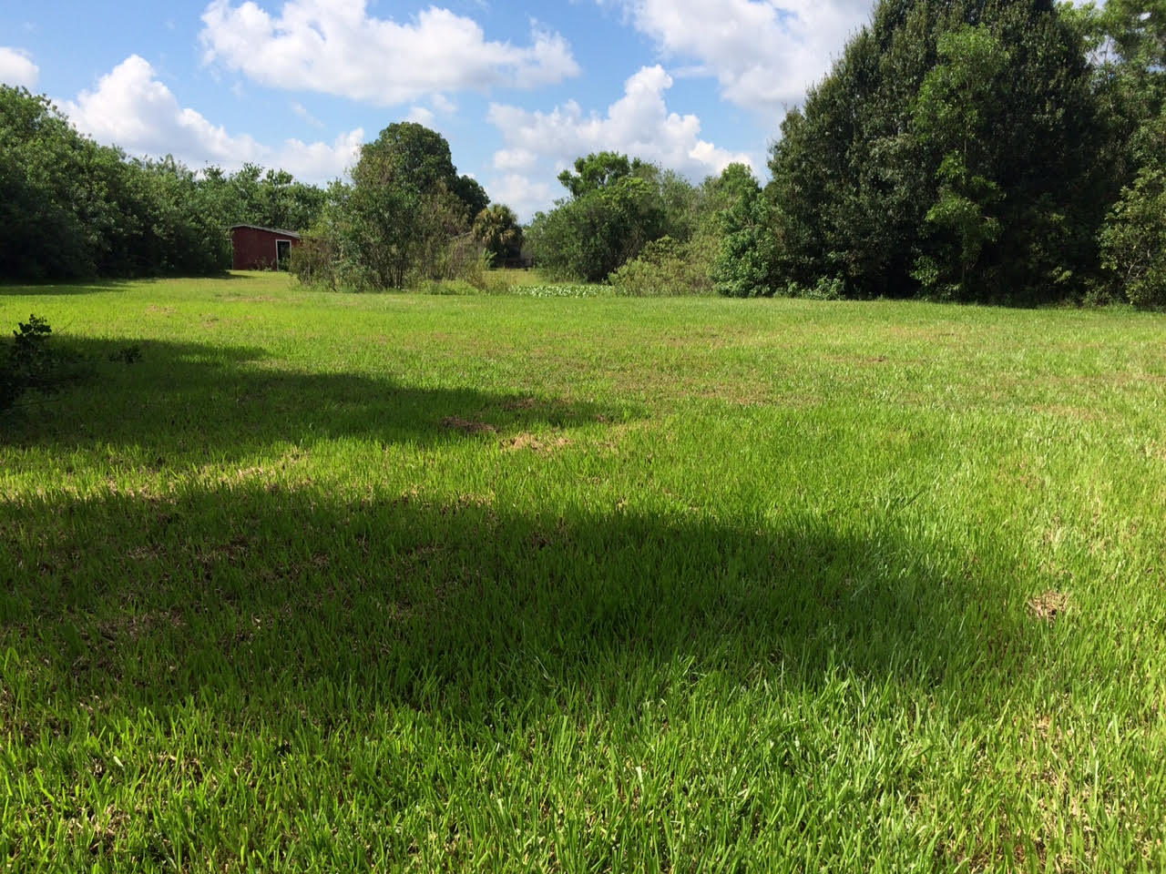 16689 Norris Road Loxahatchee, FL 33470 - Photo 1 of 20 Yard Back 3