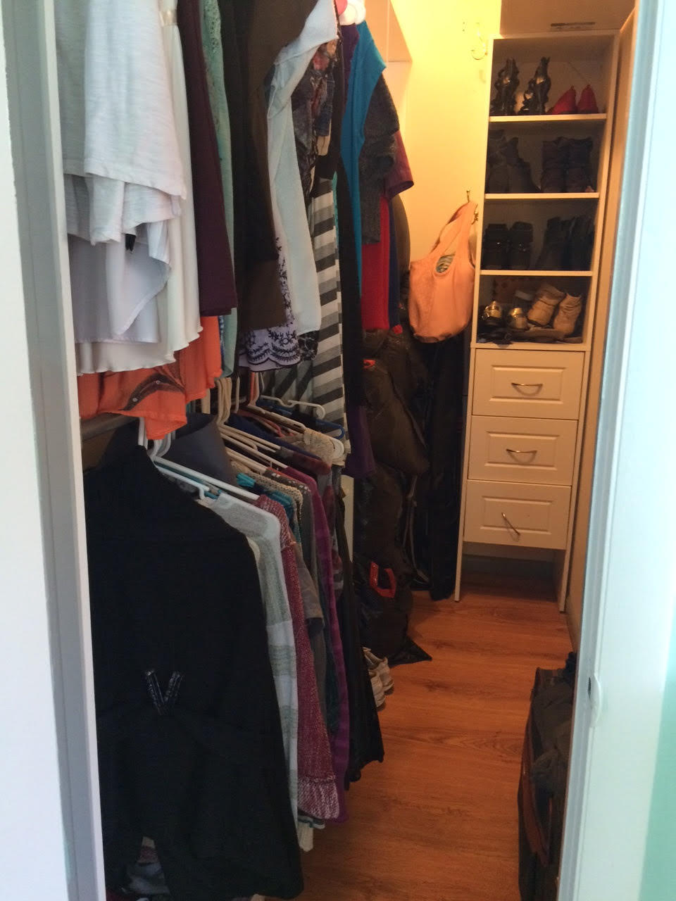 16689 Norris Road Loxahatchee, FL 33470 - Photo 11 of 20 MBed Closet