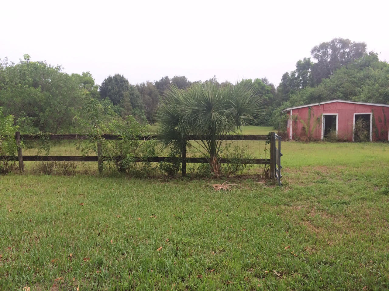 16689 Norris Road Loxahatchee, FL 33470 - Photo 14 of 20 Yard Back Barn