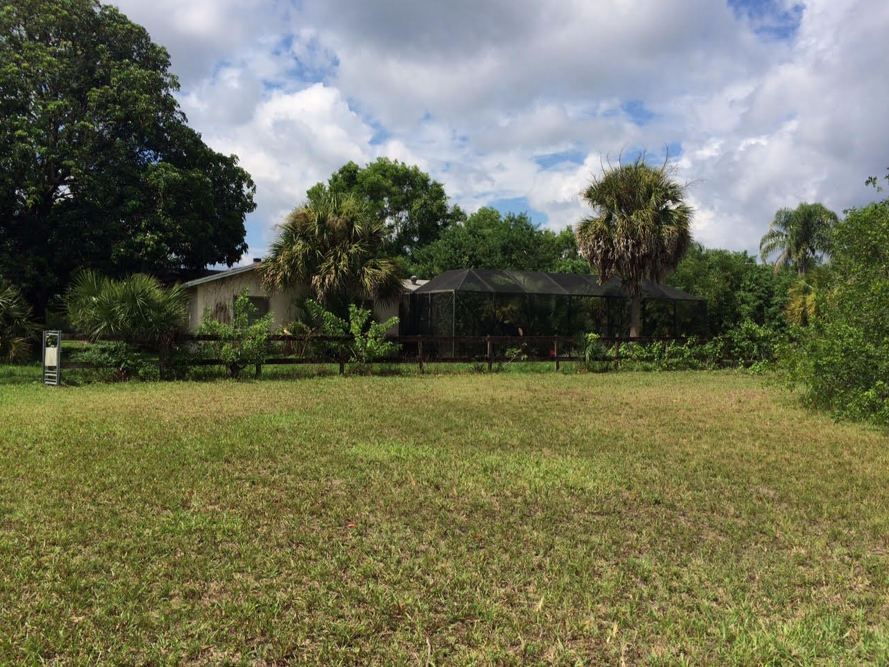 16689 Norris Road Loxahatchee, FL 33470 - Photo 16 of 20 Yard Back - House
