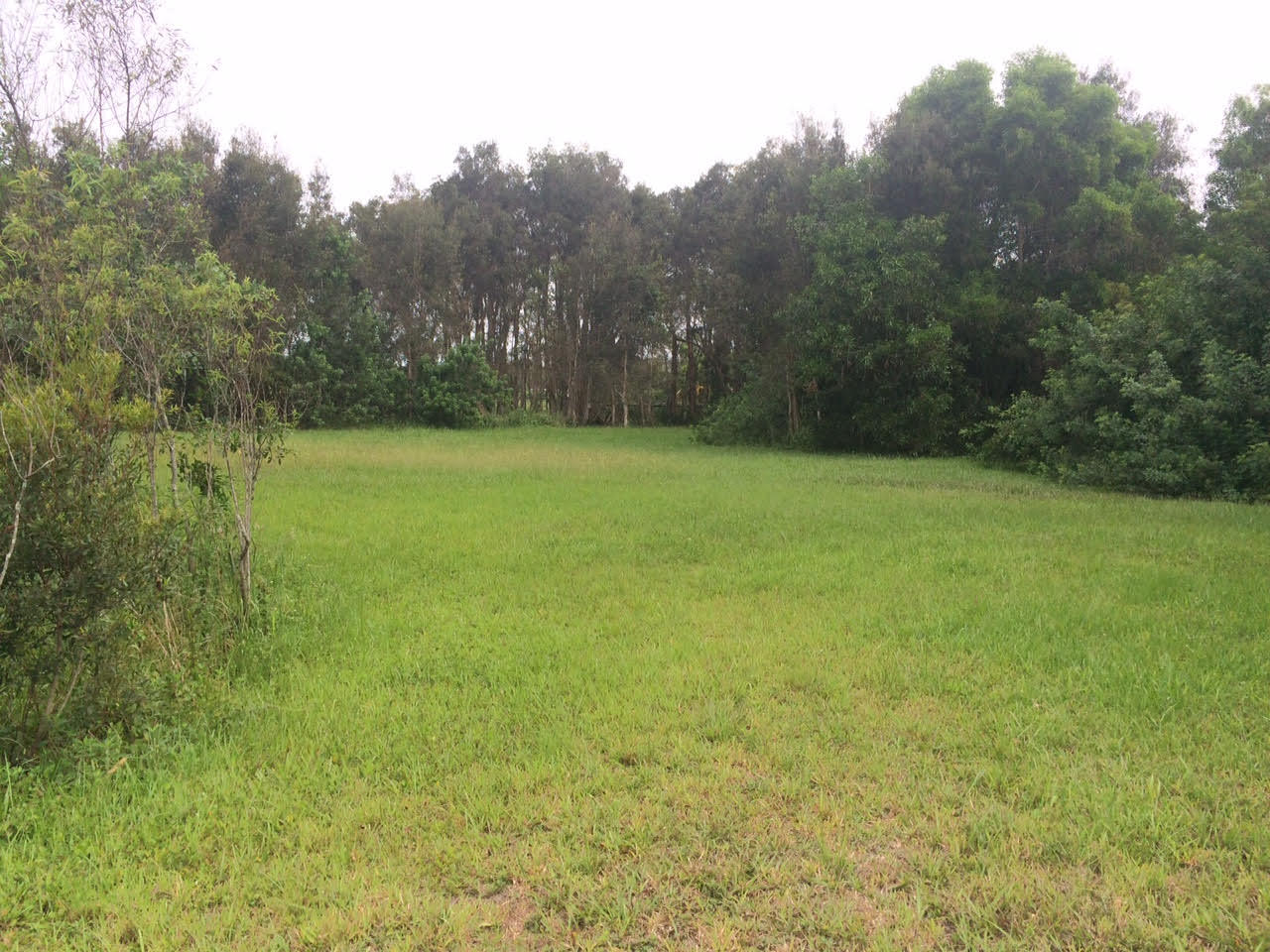 16689 Norris Road Loxahatchee, FL 33470 - Photo 18 of 20 Yard Back