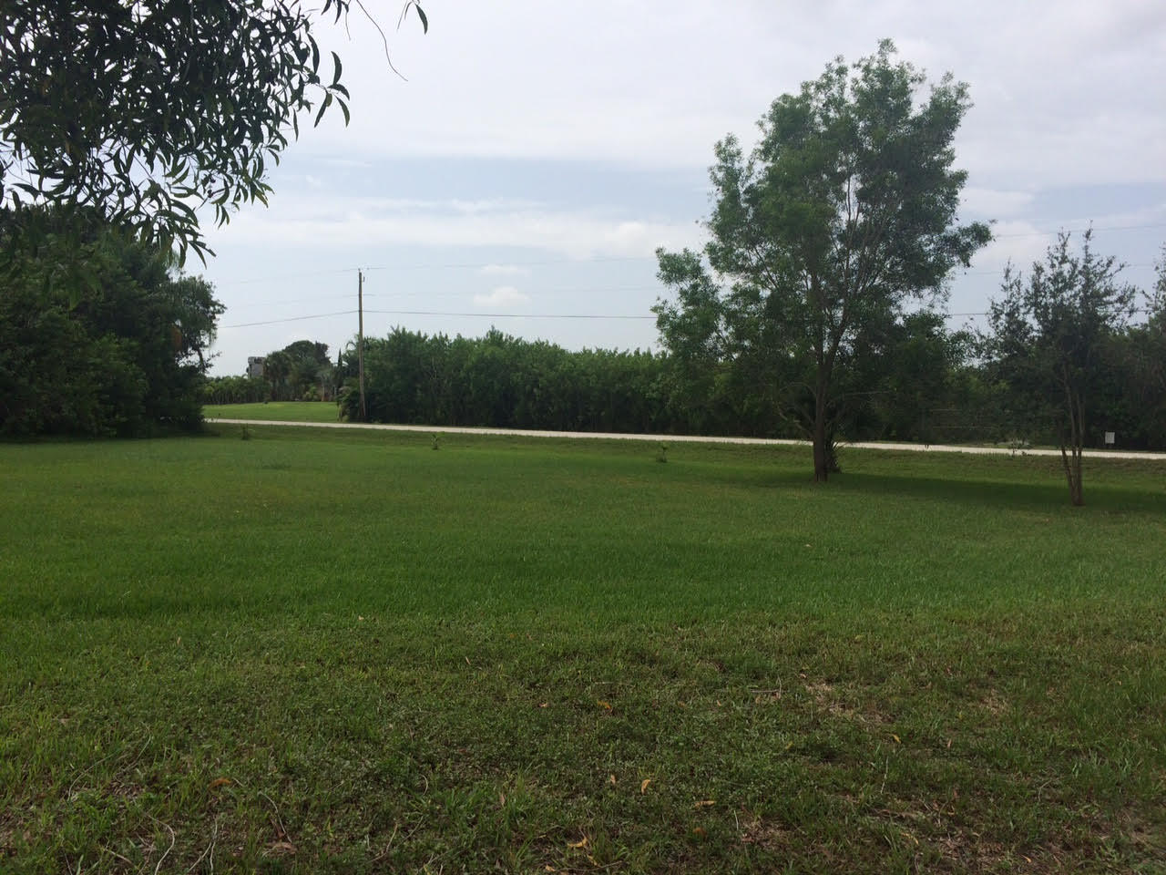 16689 Norris Road Loxahatchee, FL 33470 - Photo 19 of 20 Yard Front