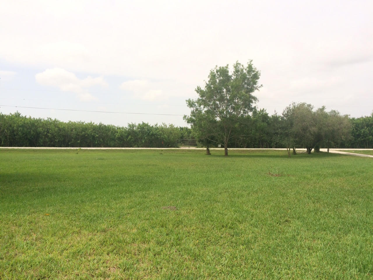 16689 Norris Road Loxahatchee, FL 33470 - Photo 2 of 20 Yard Front 1