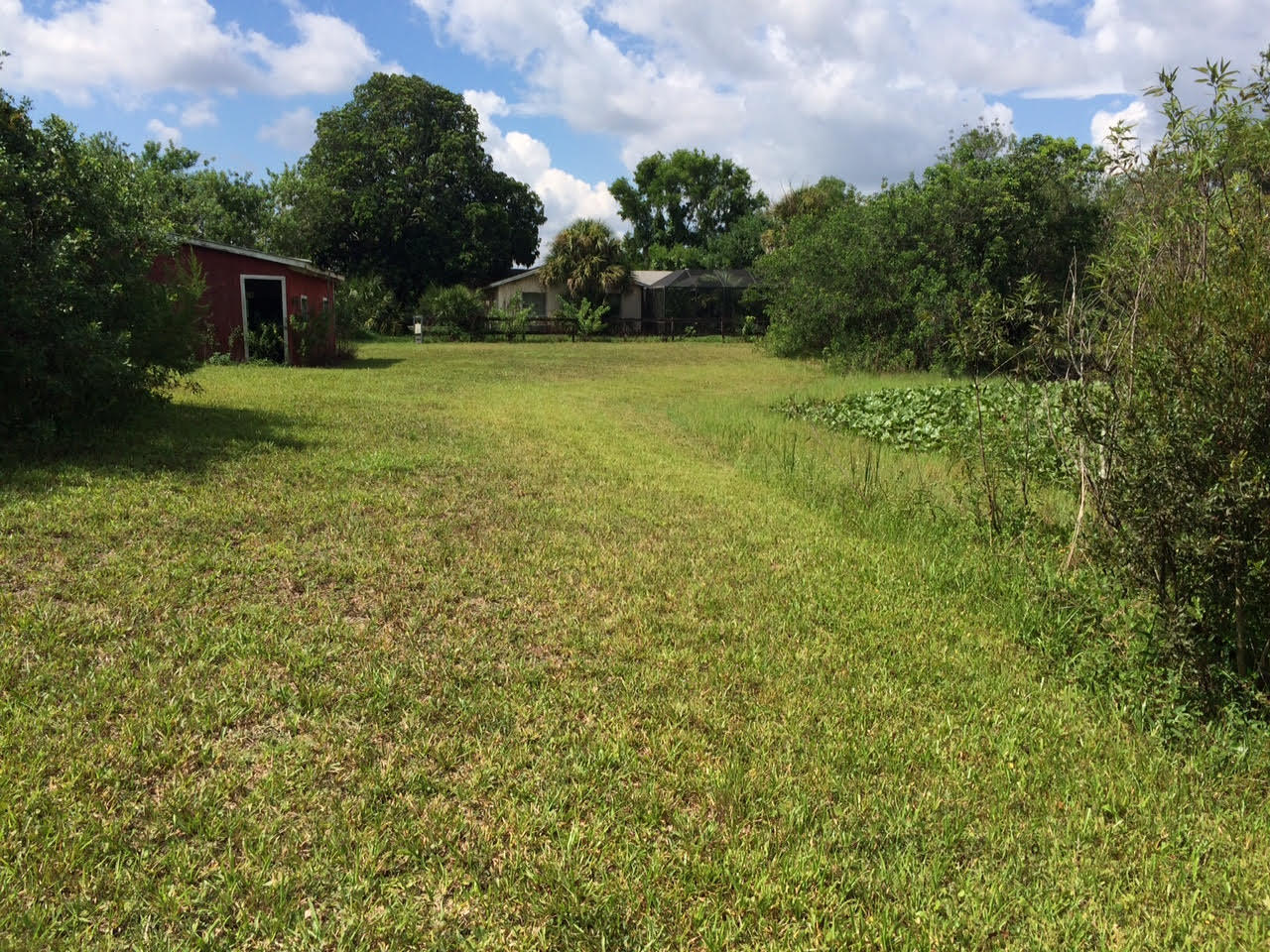 16689 Norris Road Loxahatchee, FL 33470 - Photo 4 of 20 Yard Back Y