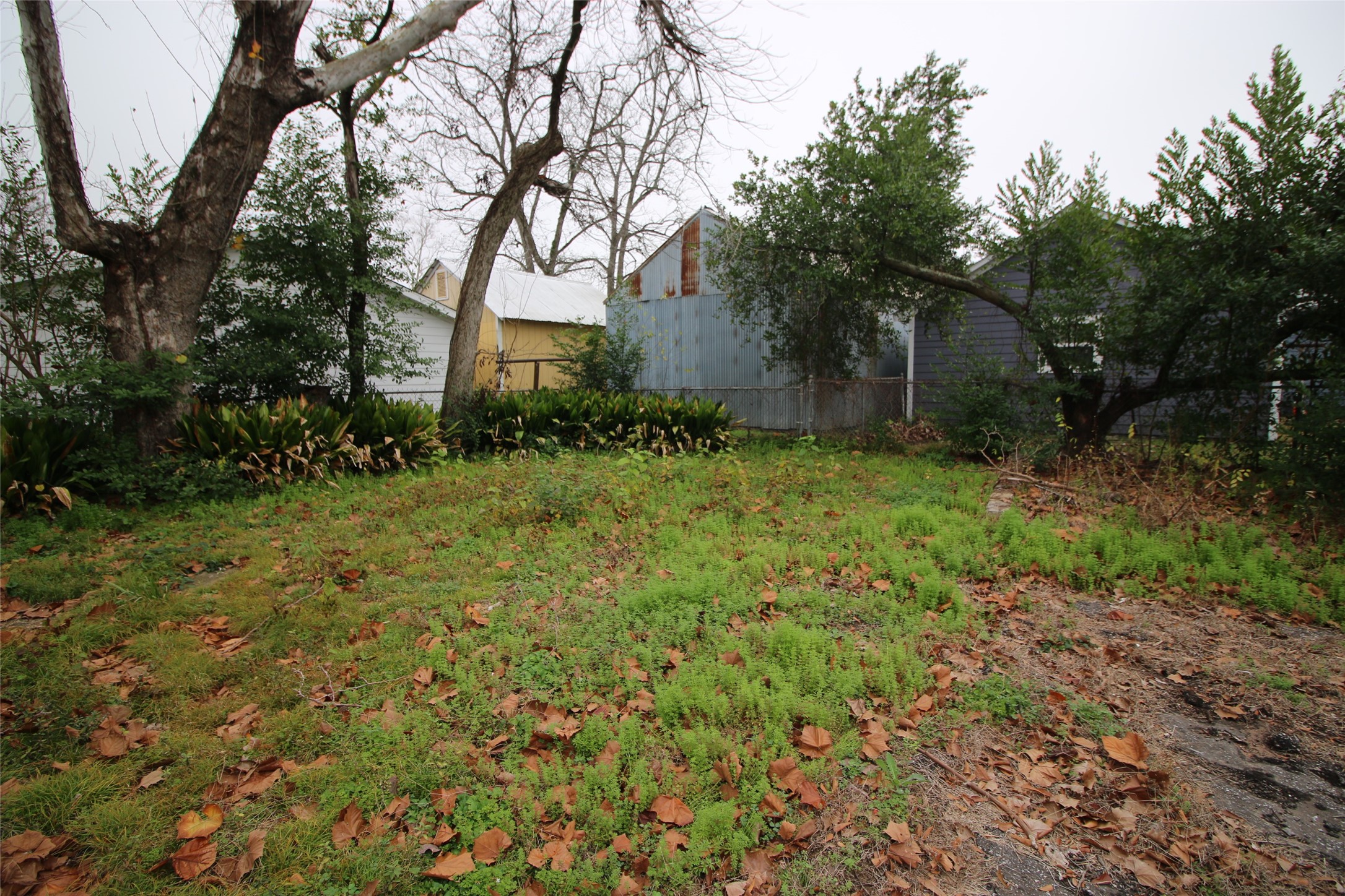 418 3rd Street Humble, TX 77338 - Photo 20 of 20 This inviting property features a spacious, lush yard perfect for outdoor relaxation and endless possibilities.