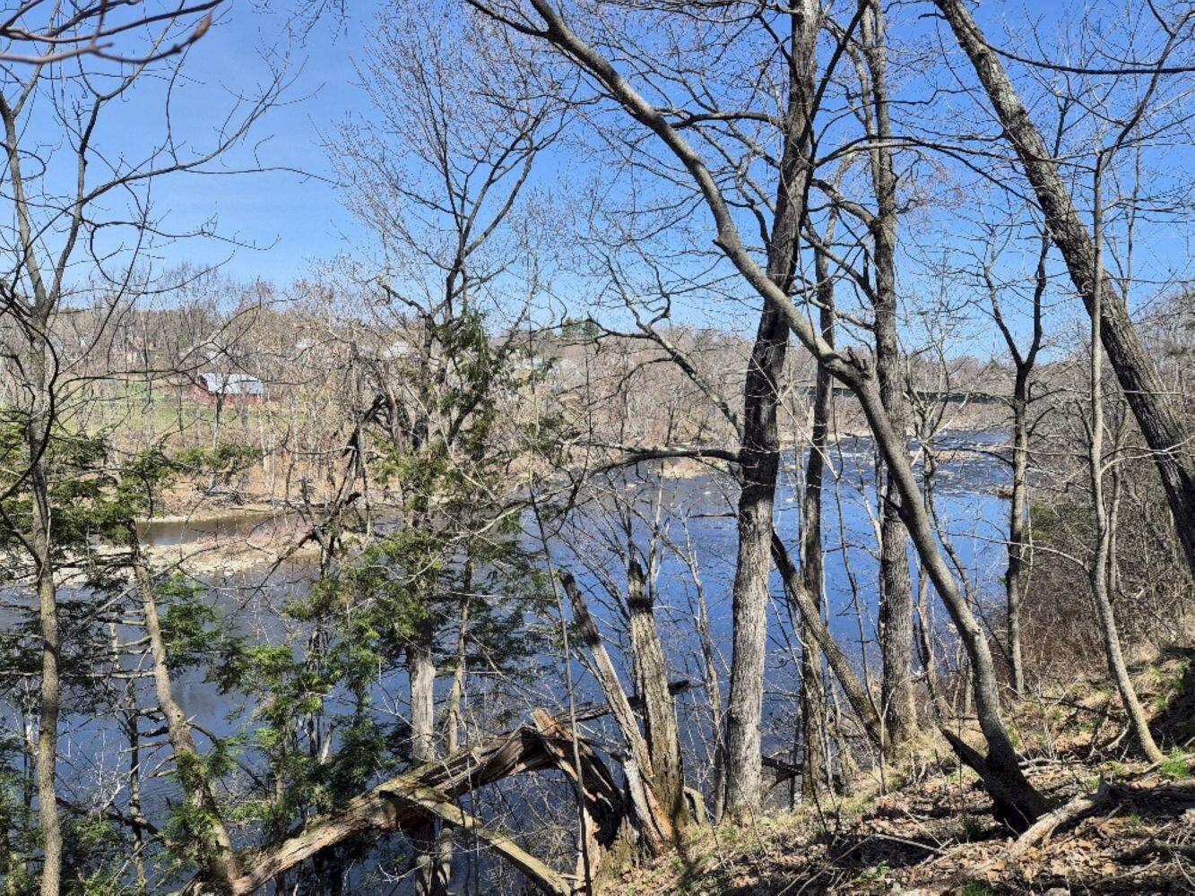 55 Cape Cod Hill Road New Sharon, ME 04955 - Photo 6 of 78