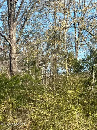 $10,500 | 0 Adams Station Road, Utica, MS 39175