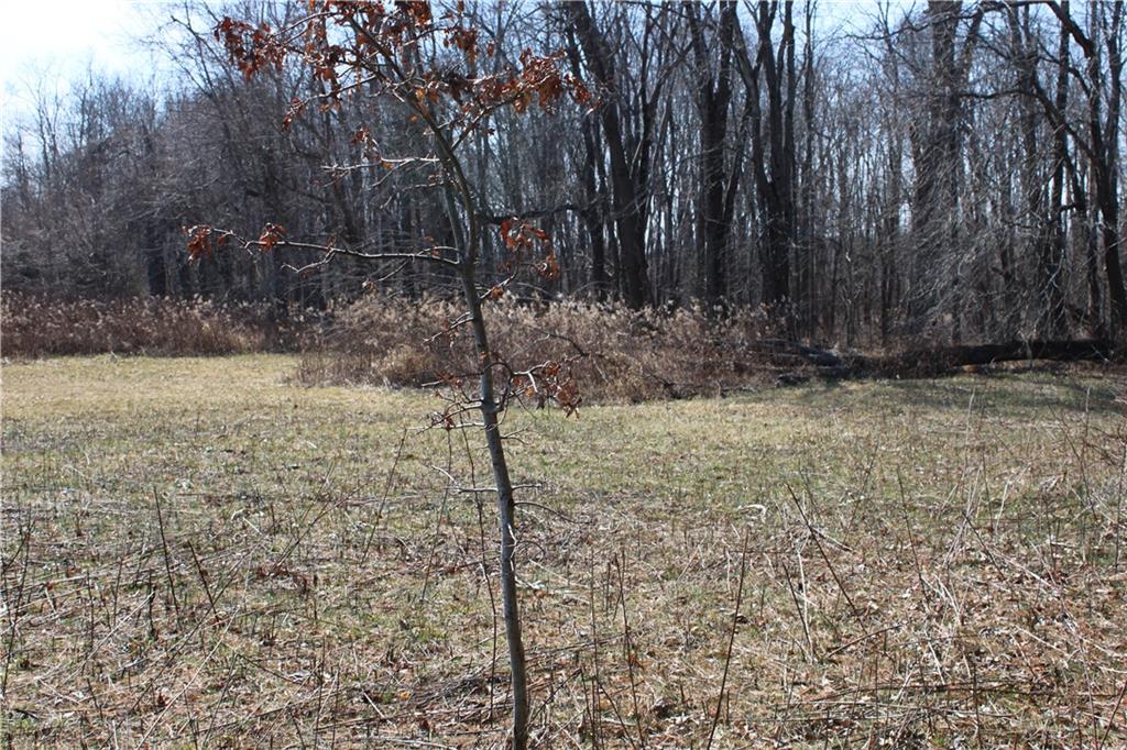 1024 North Leitzman Road Paragon, IN 46166 - Photo 12 of 23