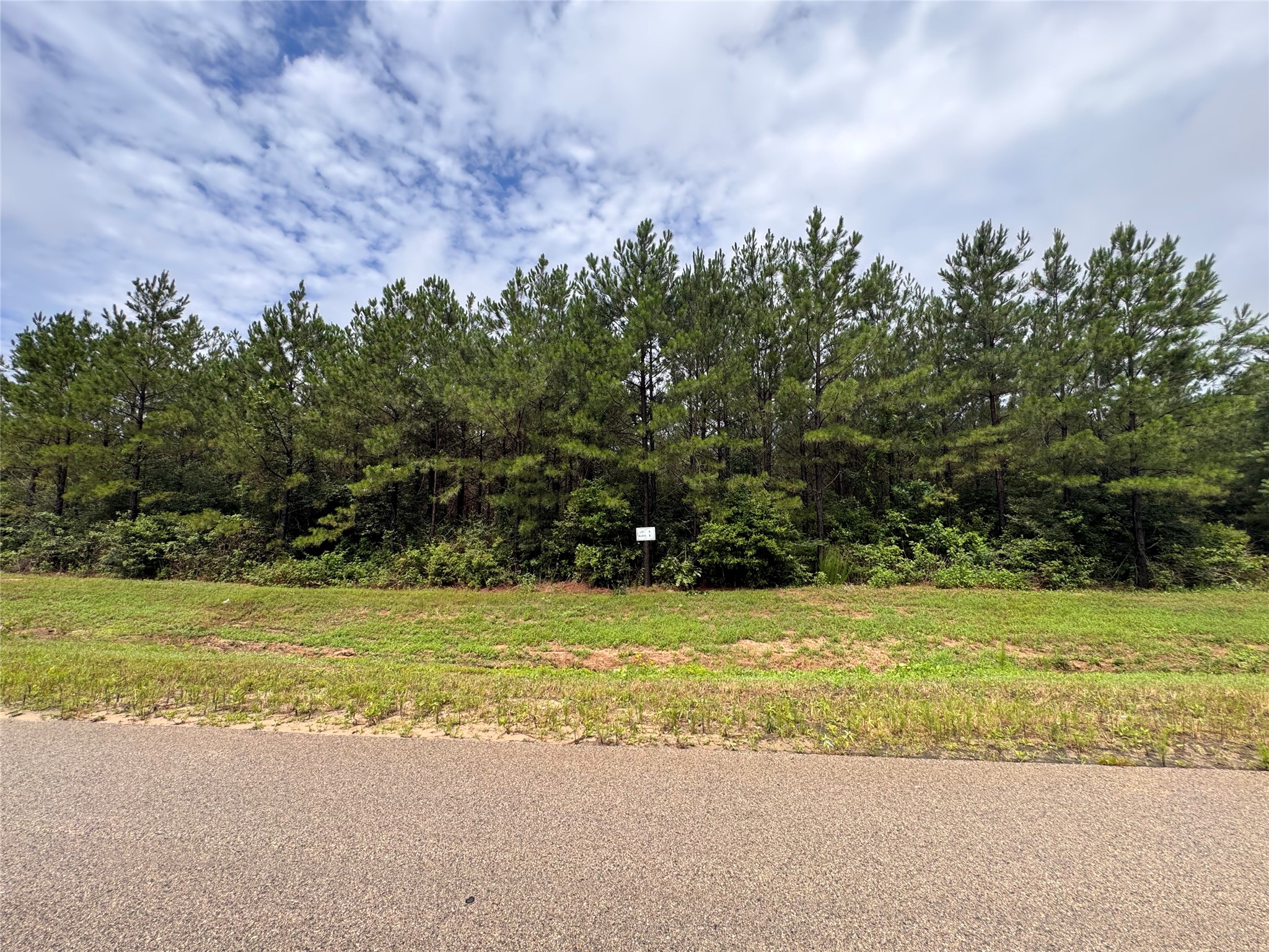 12950 Oak Barrel Road Willis, TX 77378 - Photo 4 of 21