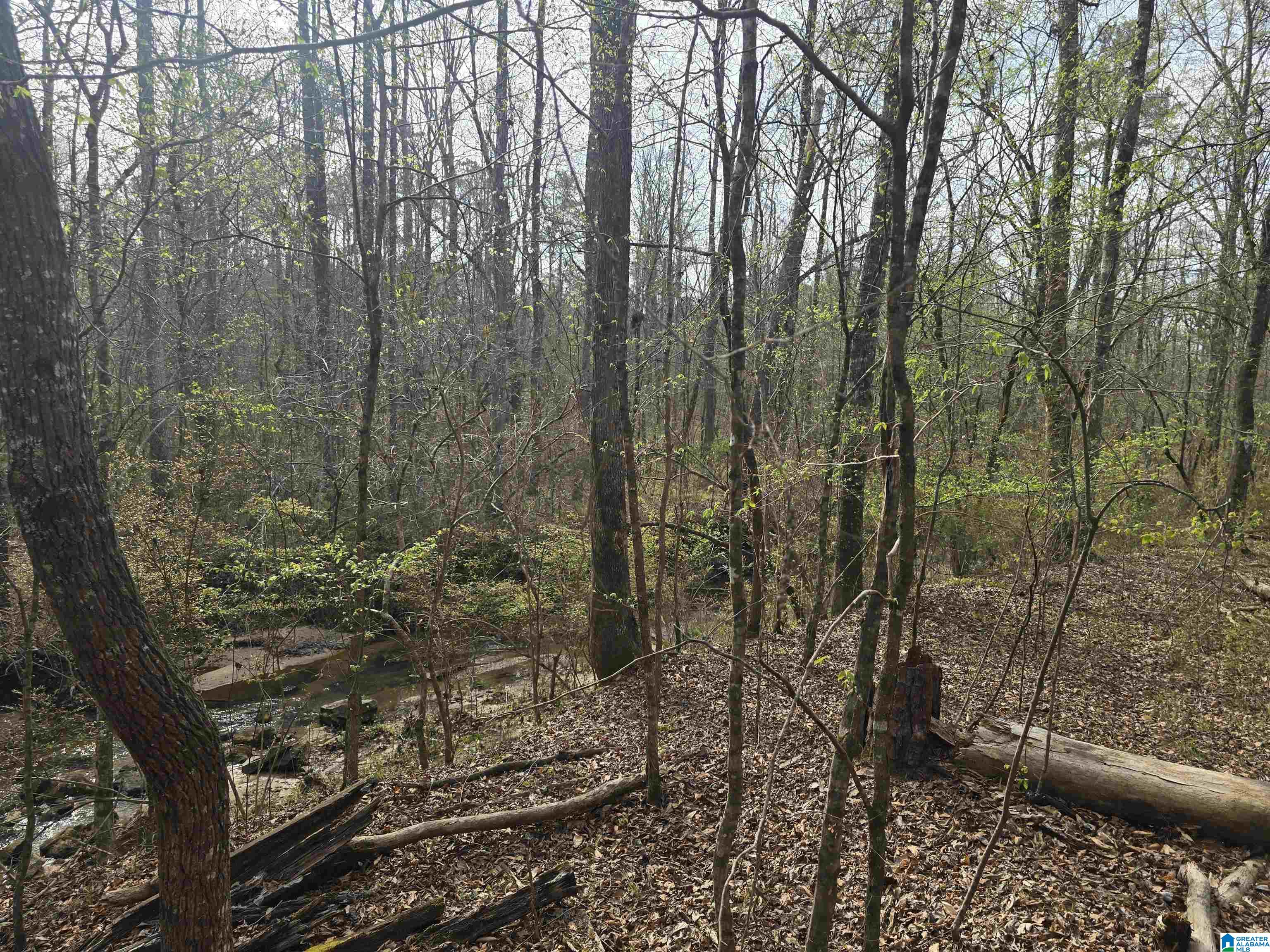 354 Springwell Road Rockford, AL 35136 - Photo 8 of 68