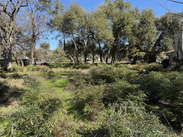 a view of a trees in a yard