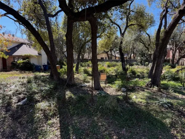 a view of a yard with plants and trees