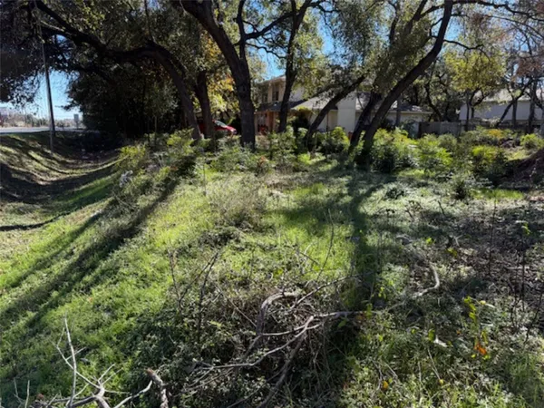 a view of outdoor space and trees