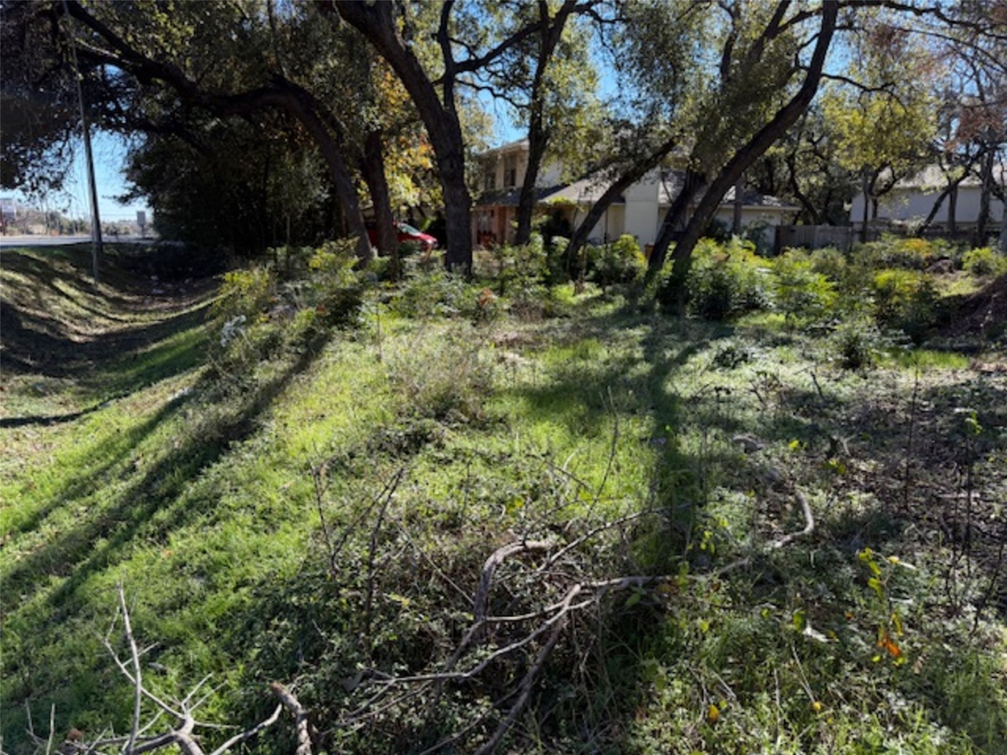 12102 Jollyville Road Austin, TX 78759 - Photo 5 of 7 View of yard