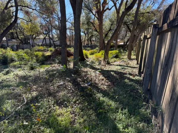 a view of a yard with plants and tree