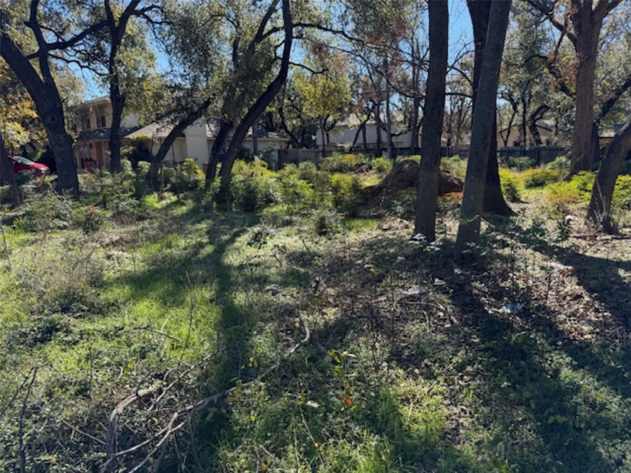 12102 Jollyville Road Austin, TX 78759 - Photo 7 of 7 View of yard