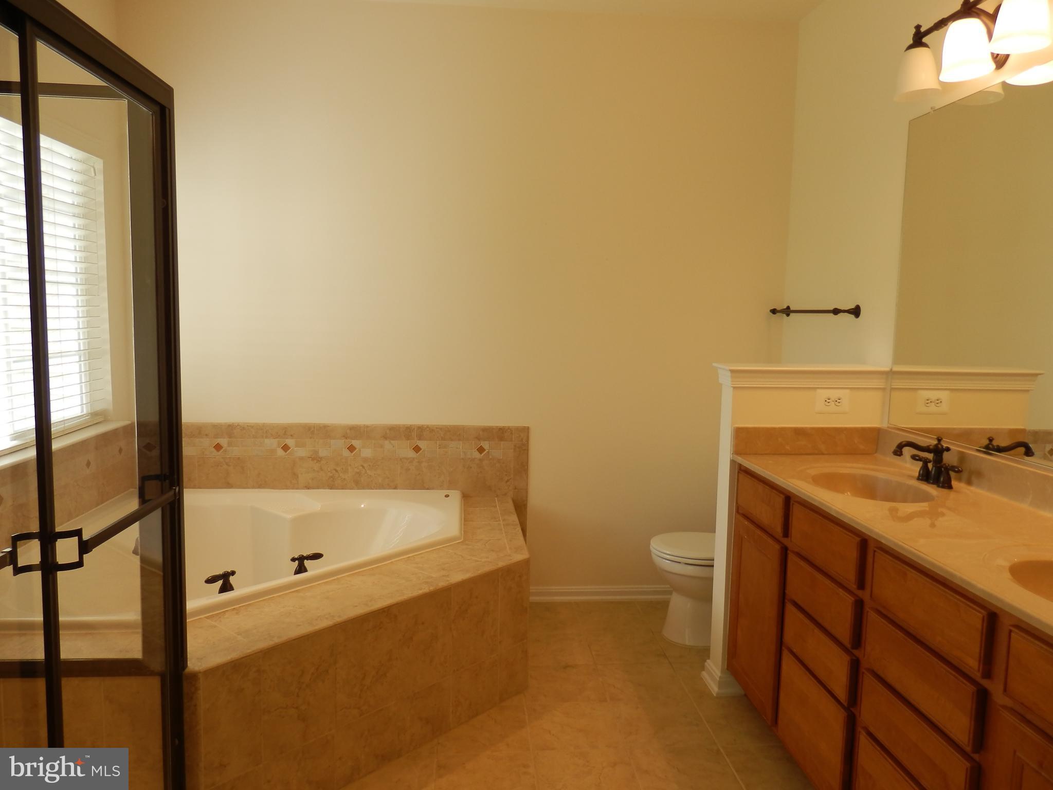 43334 Stonegarden Terrace Broadlands, VA 20148 - Photo 10 of 21