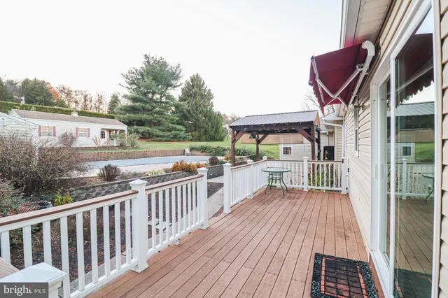 a view of a backyard with a garden and plants