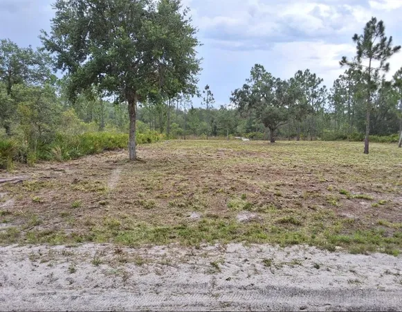 a view of a yard with a tree