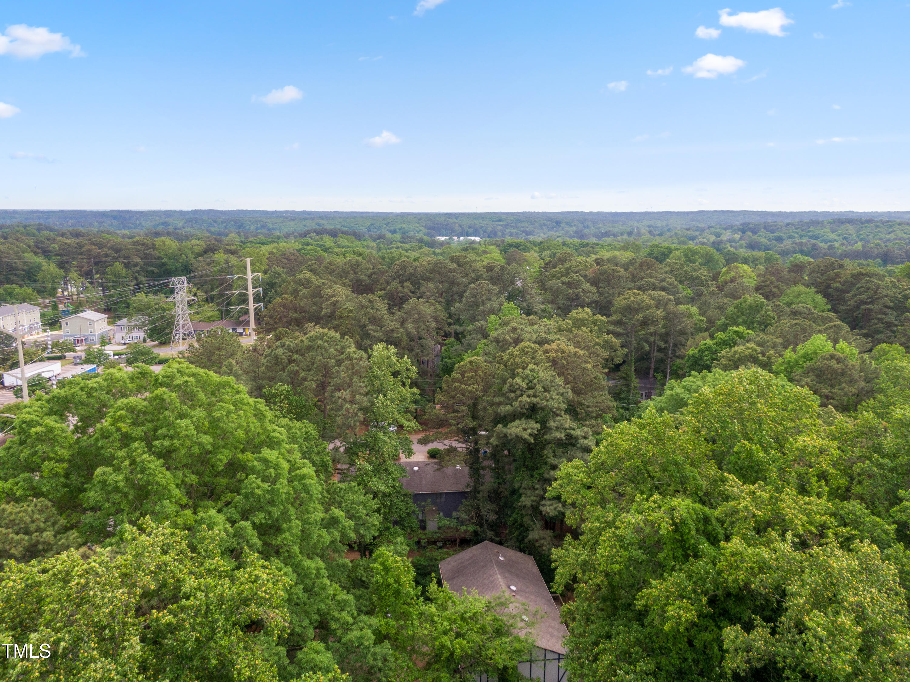 1208 Gorman Street Raleigh, NC 27606 - Photo 16 of 18 Skyline to NCSU (4)