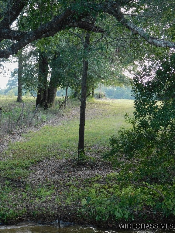 0 Lucy Road Andalusia, AL 36421 - Photo 9 of 12 Gallery Image 9
