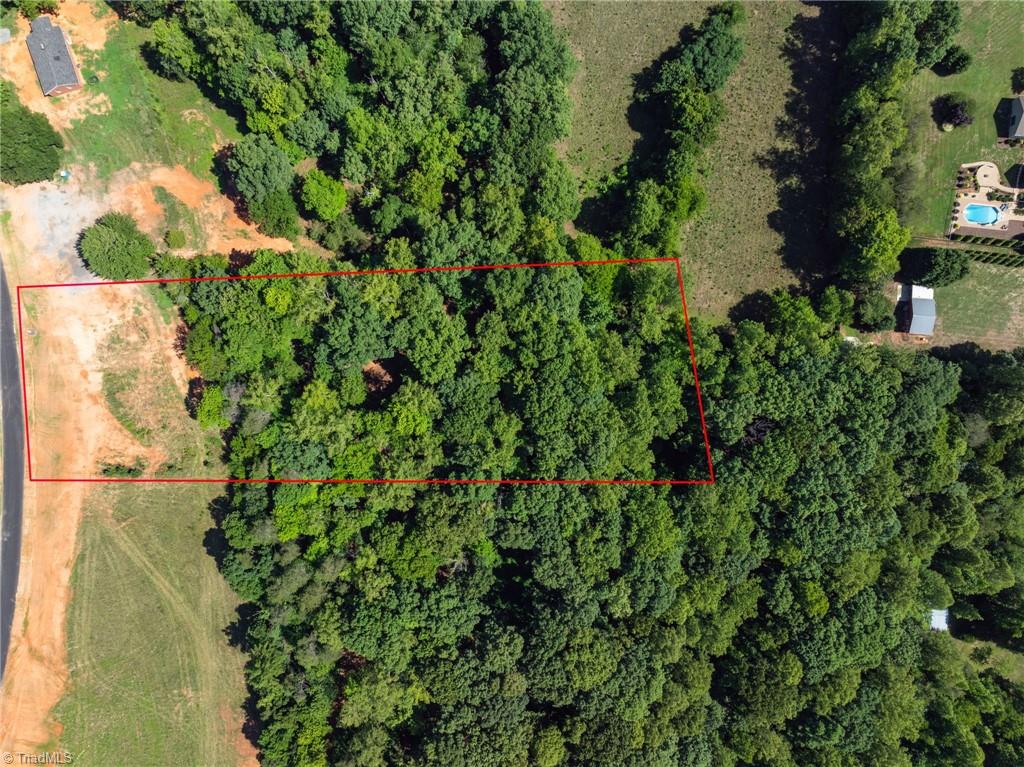 7289 Plunkett Road Stokesdale, NC 27357 - Photo 7 of 27