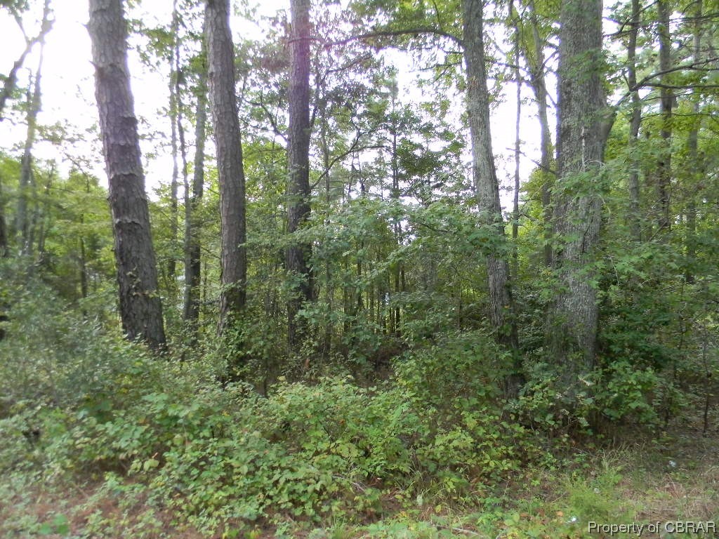 9167 A Guinea Road Hayes, VA 23072 - Photo 6 of 6 Gallery Image 6