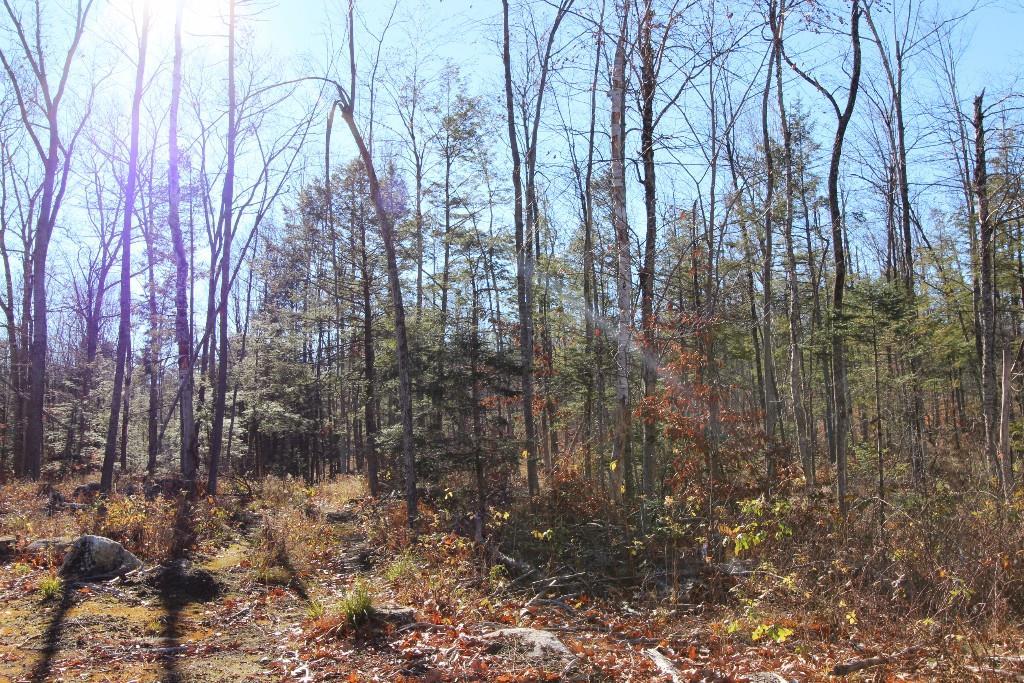 0 Bradford Road Turner, ME 04282 - Photo 12 of 15 Photo