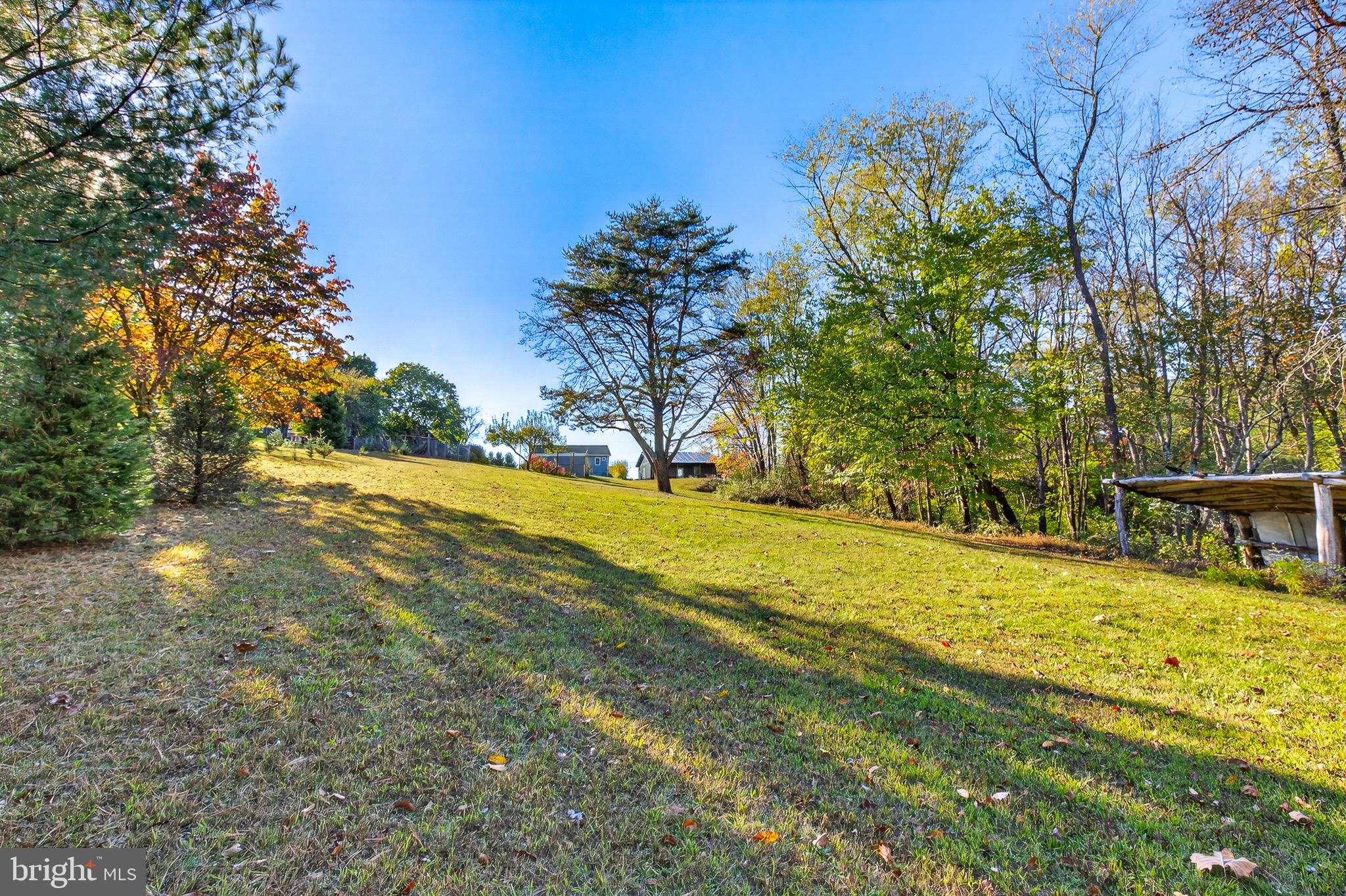 11 Valley Ranch Road Shermans Dale, PA 17090 - Photo 34 of 46 Backyard