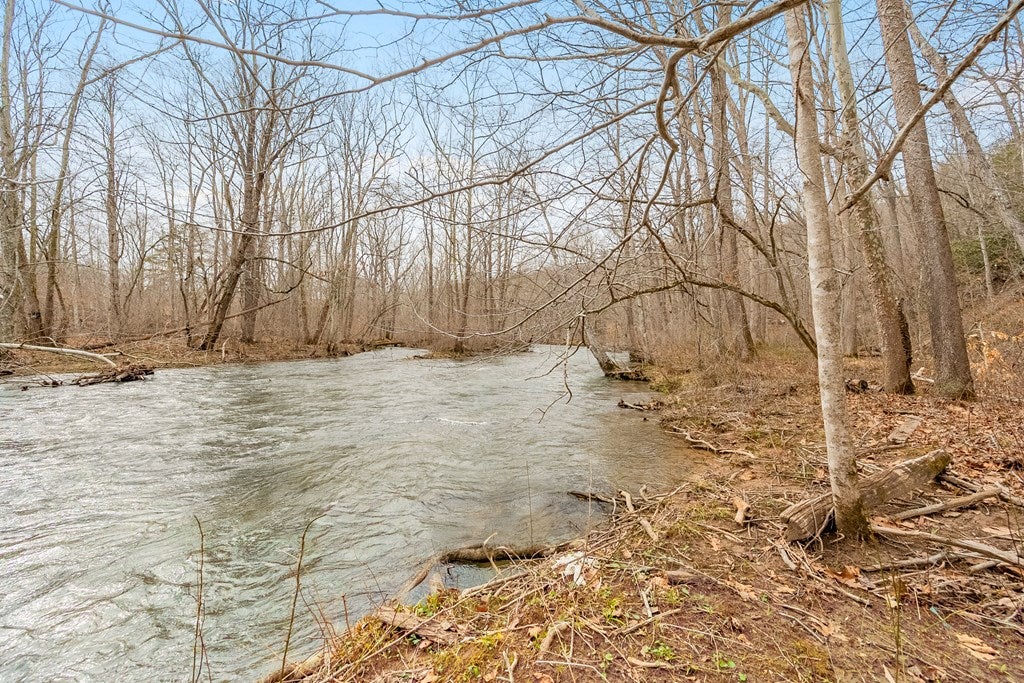 0 Grapefield Road Bastian, VA 24314 - Photo 40 of 63 Gallery Image 40